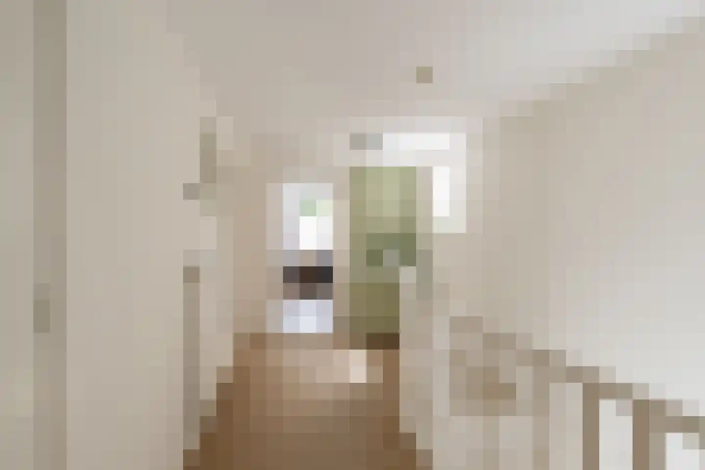 Langestraat 91 's-Gravenzande thumbnail 37