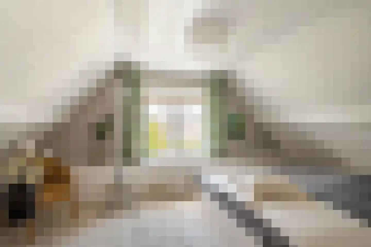 Langestraat 91 's-Gravenzande thumbnail 38