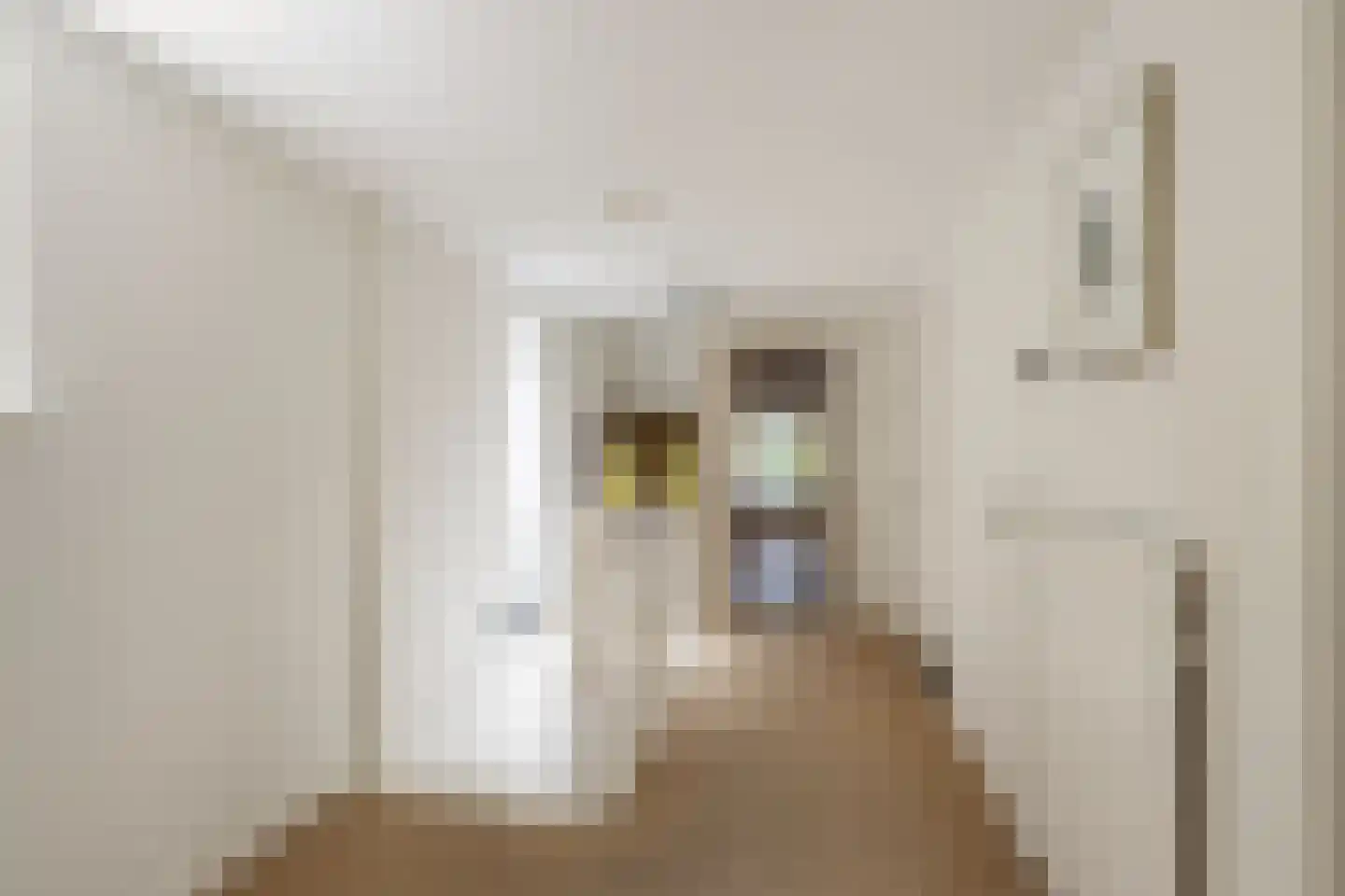 Langestraat 91 's-Gravenzande thumbnail 40