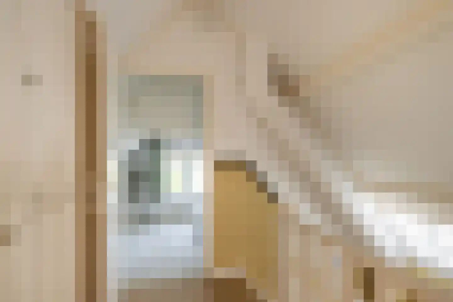 Langestraat 91 's-Gravenzande thumbnail 46