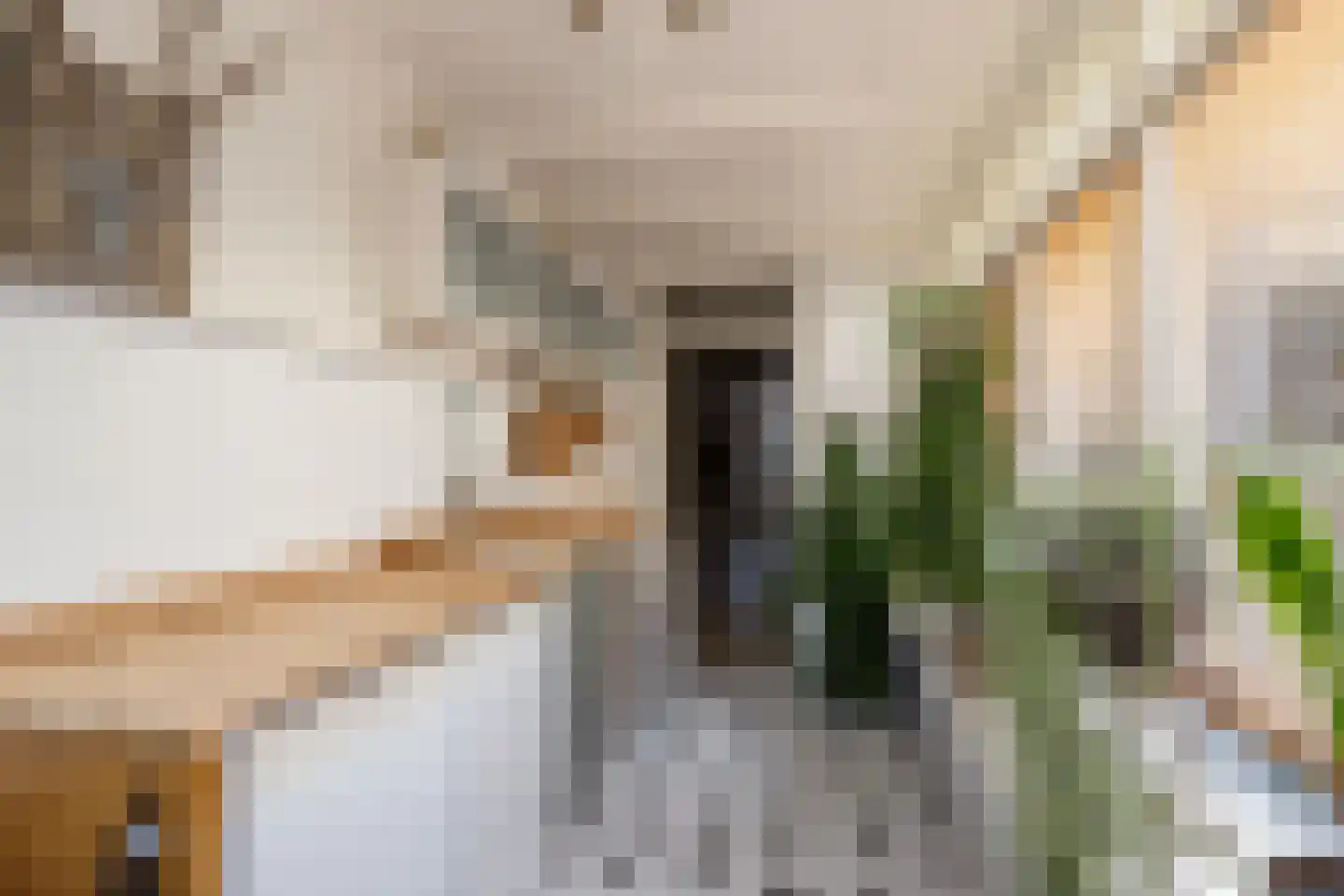 Langestraat 91 's-Gravenzande thumbnail 48