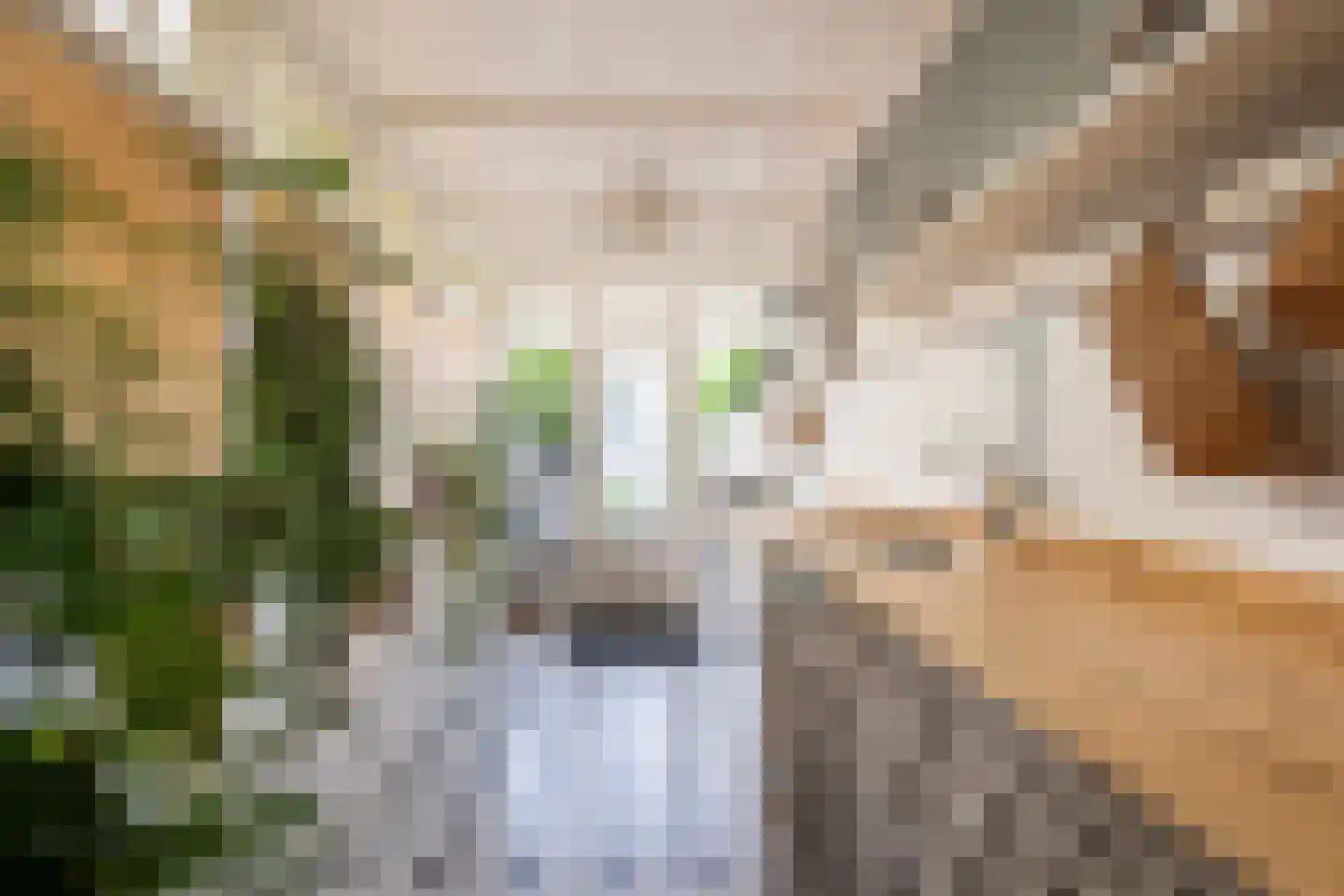 Langestraat 91 's-Gravenzande thumbnail 49