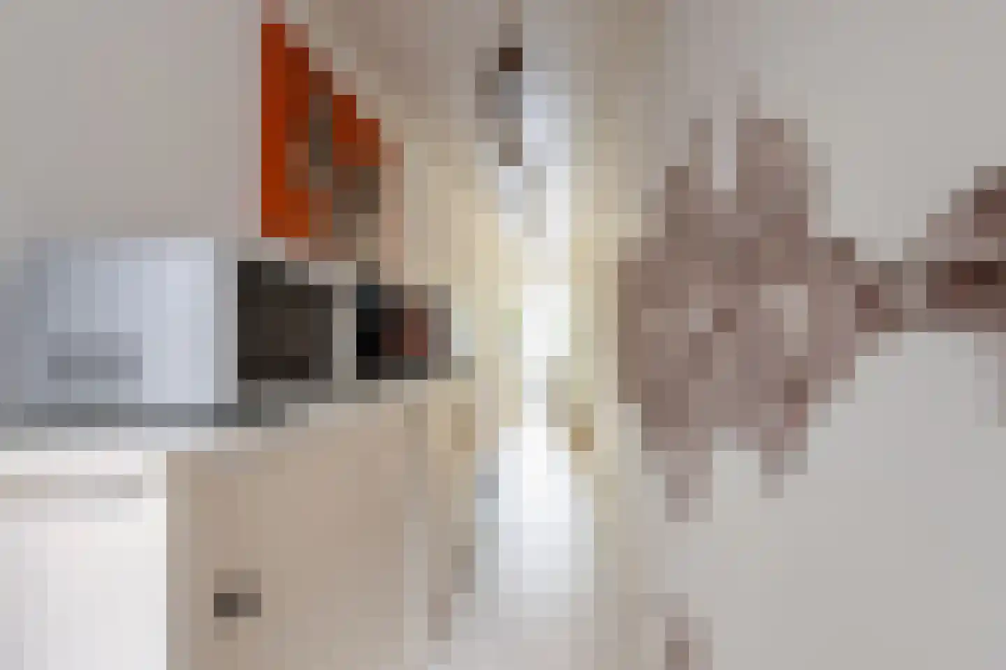 Langestraat 91 's-Gravenzande thumbnail 50