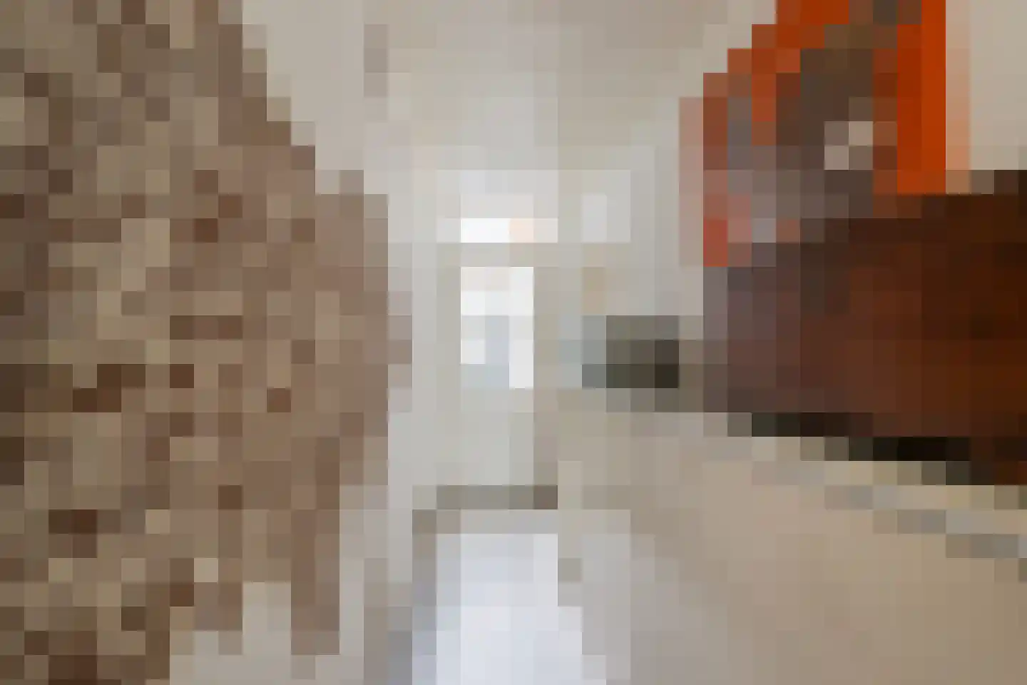 Langestraat 91 's-Gravenzande thumbnail 51