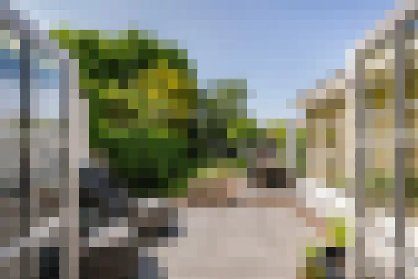 Langestraat 91 's-Gravenzande thumbnail 6