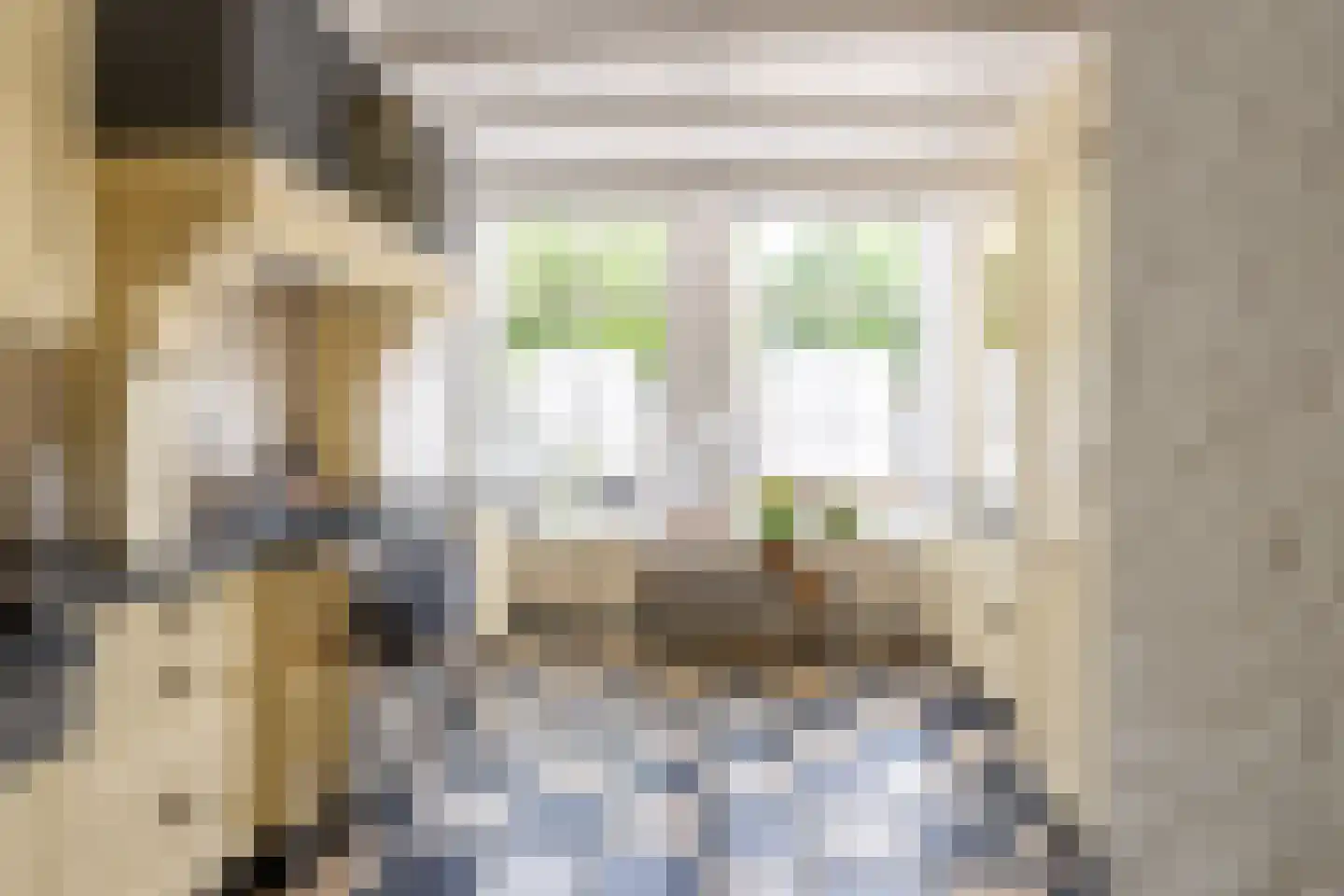 Langestraat 91 's-Gravenzande thumbnail 6