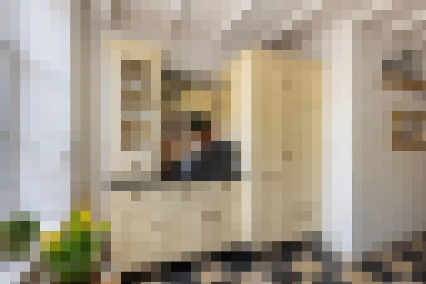 Langestraat 91 's-Gravenzande thumbnail 8