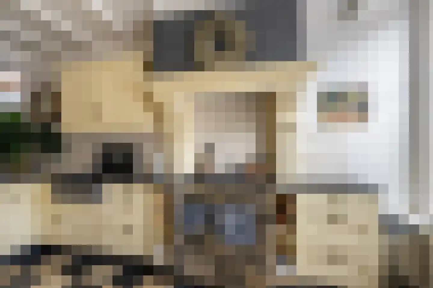 Langestraat 91 's-Gravenzande thumbnail 9