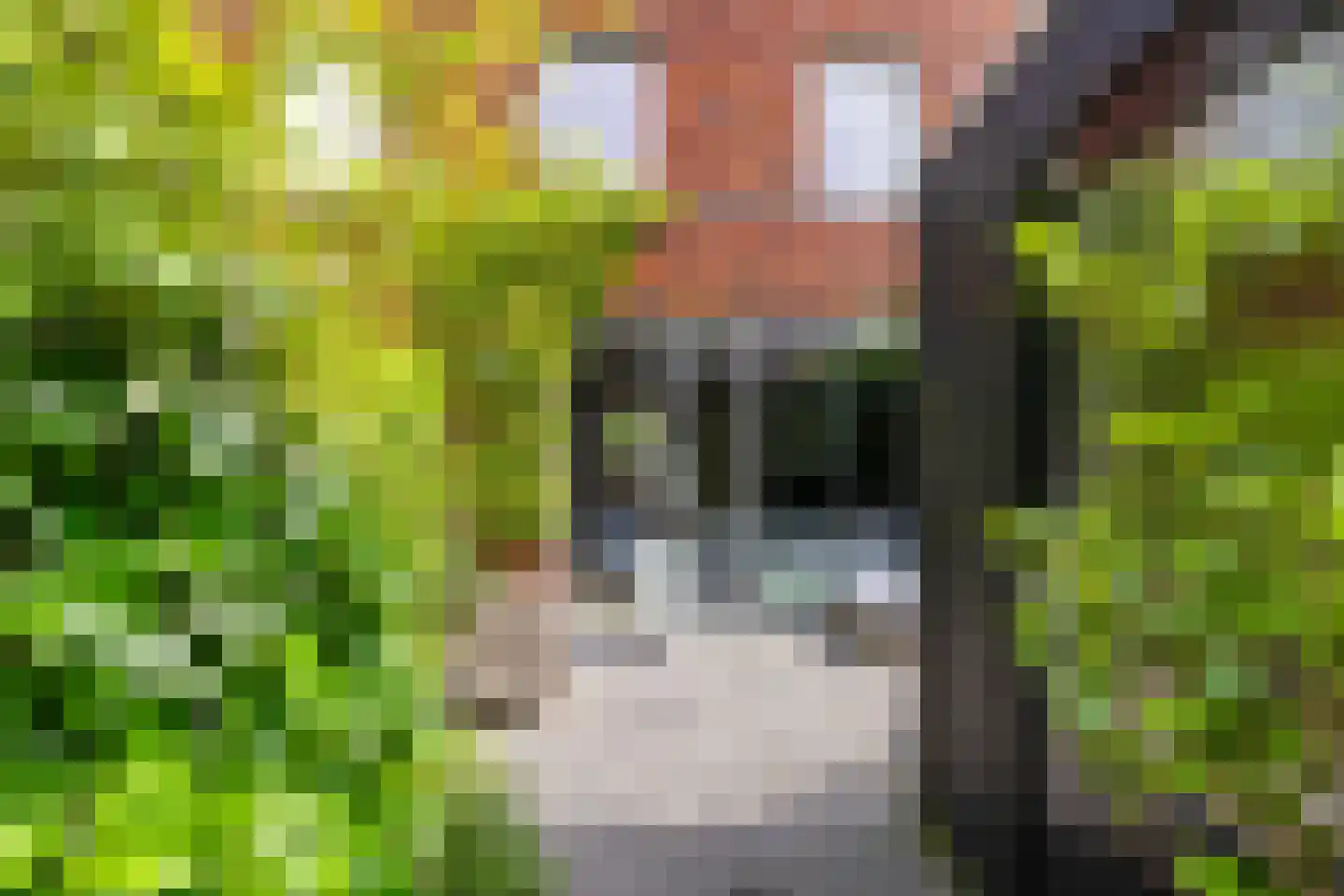 Langestraat 98 Groningen thumbnail 23