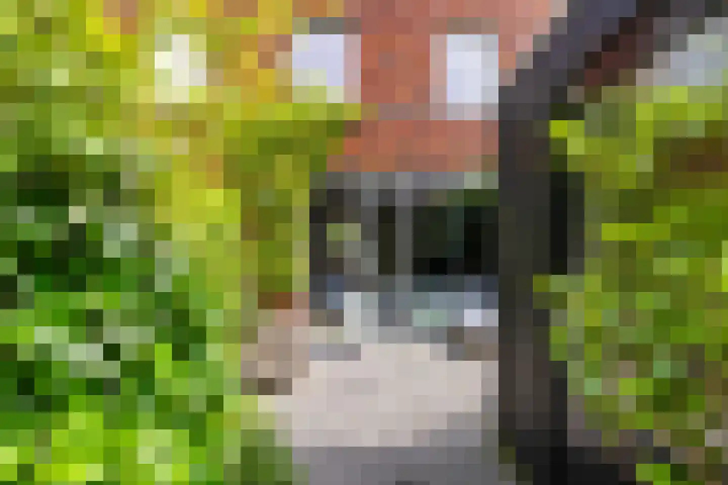 Langestraat 98 Groningen thumbnail 23