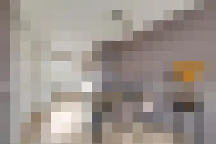 Langestraat 99 Brielle thumbnail 15