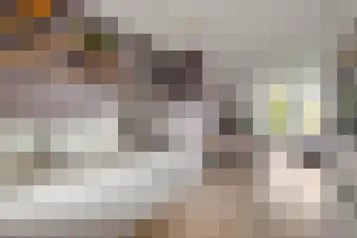 Langestraat 99 Brielle thumbnail 17