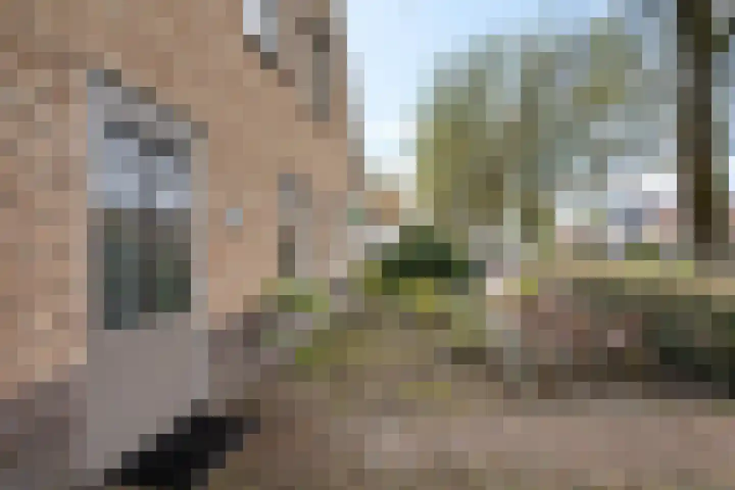 Langestreek 11 A 10 Schiermonnikoog thumbnail 5