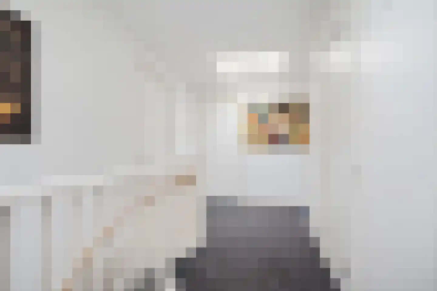 Langestreek 11 A 10 Schiermonnikoog thumbnail 8
