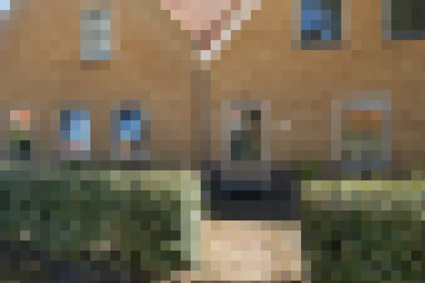 Langestreek 11 A 9 Schiermonnikoog thumbnail 6