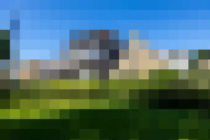 Langestreek 54 Schiermonnikoog thumbnail 14