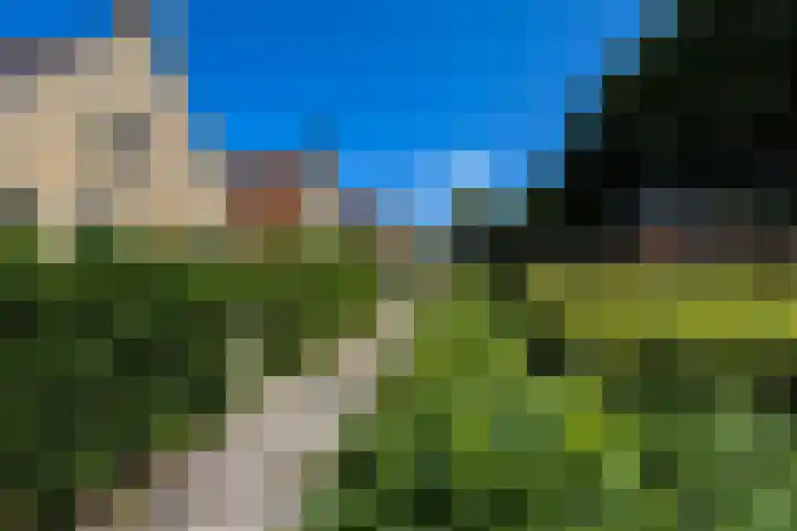 Langestreek 54 Schiermonnikoog thumbnail 16