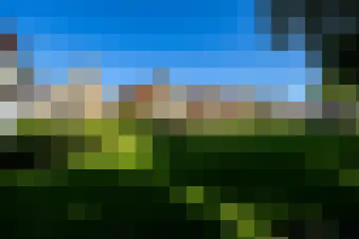 Langestreek 54 Schiermonnikoog thumbnail 17