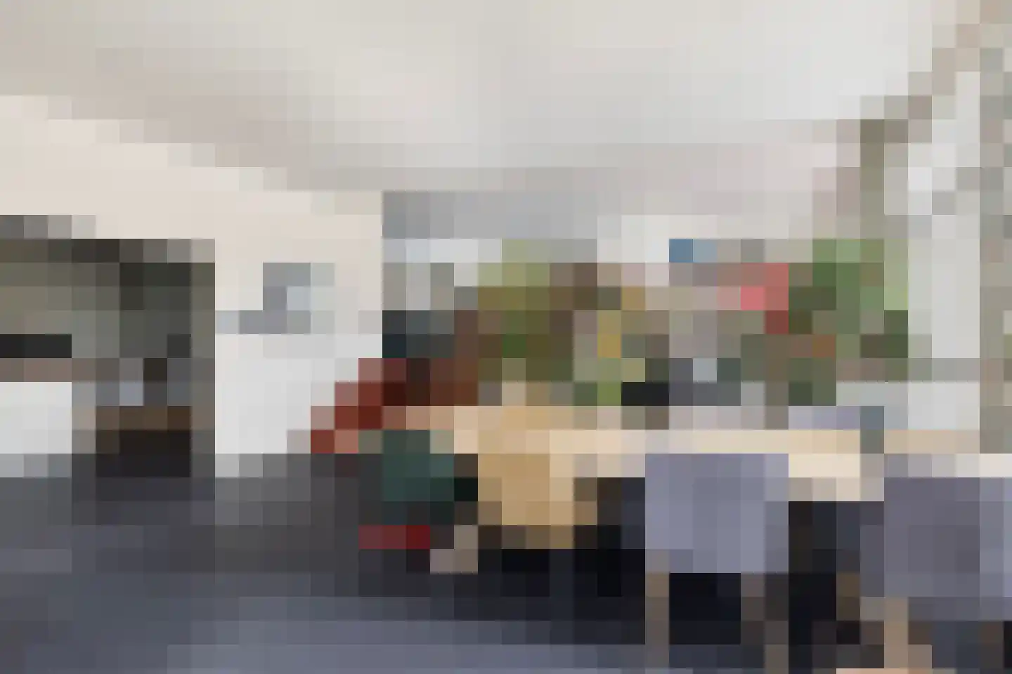 Langetaam 18 Maasland thumbnail 10