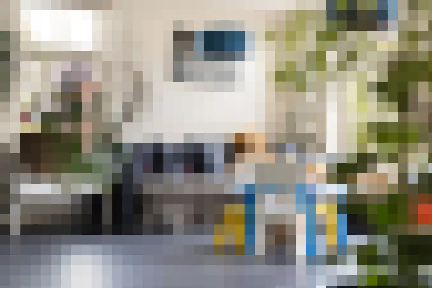 Langetaam 18 Maasland thumbnail 11