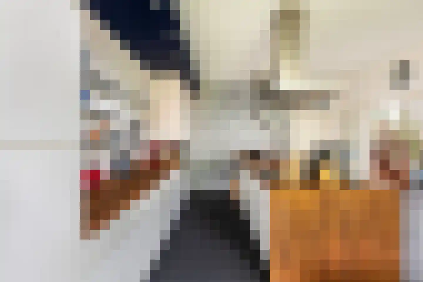 Langetaam 18 Maasland thumbnail 17
