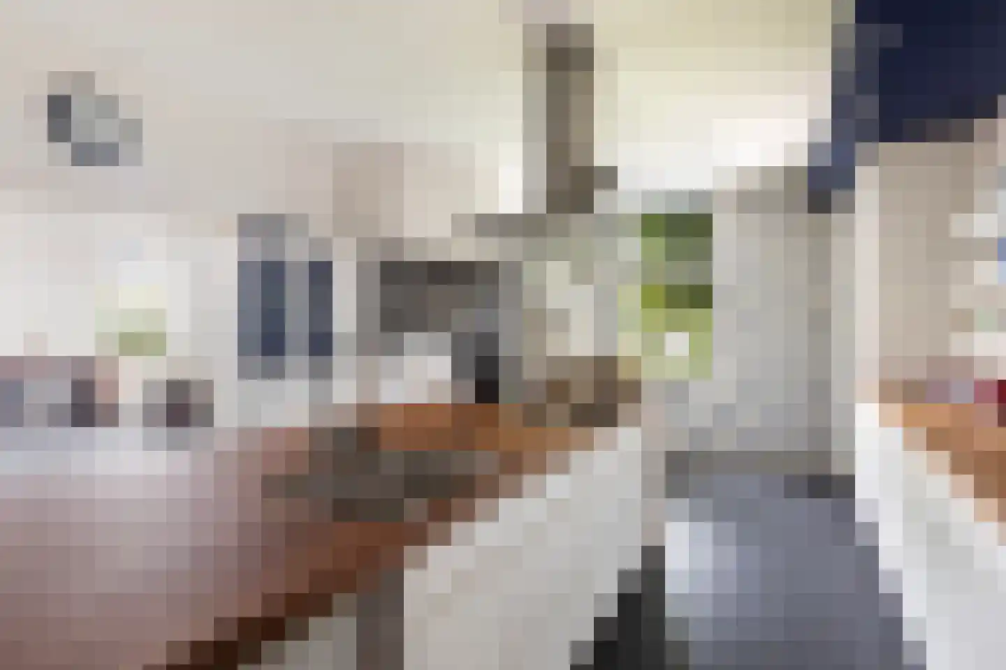 Langetaam 18 Maasland thumbnail 18