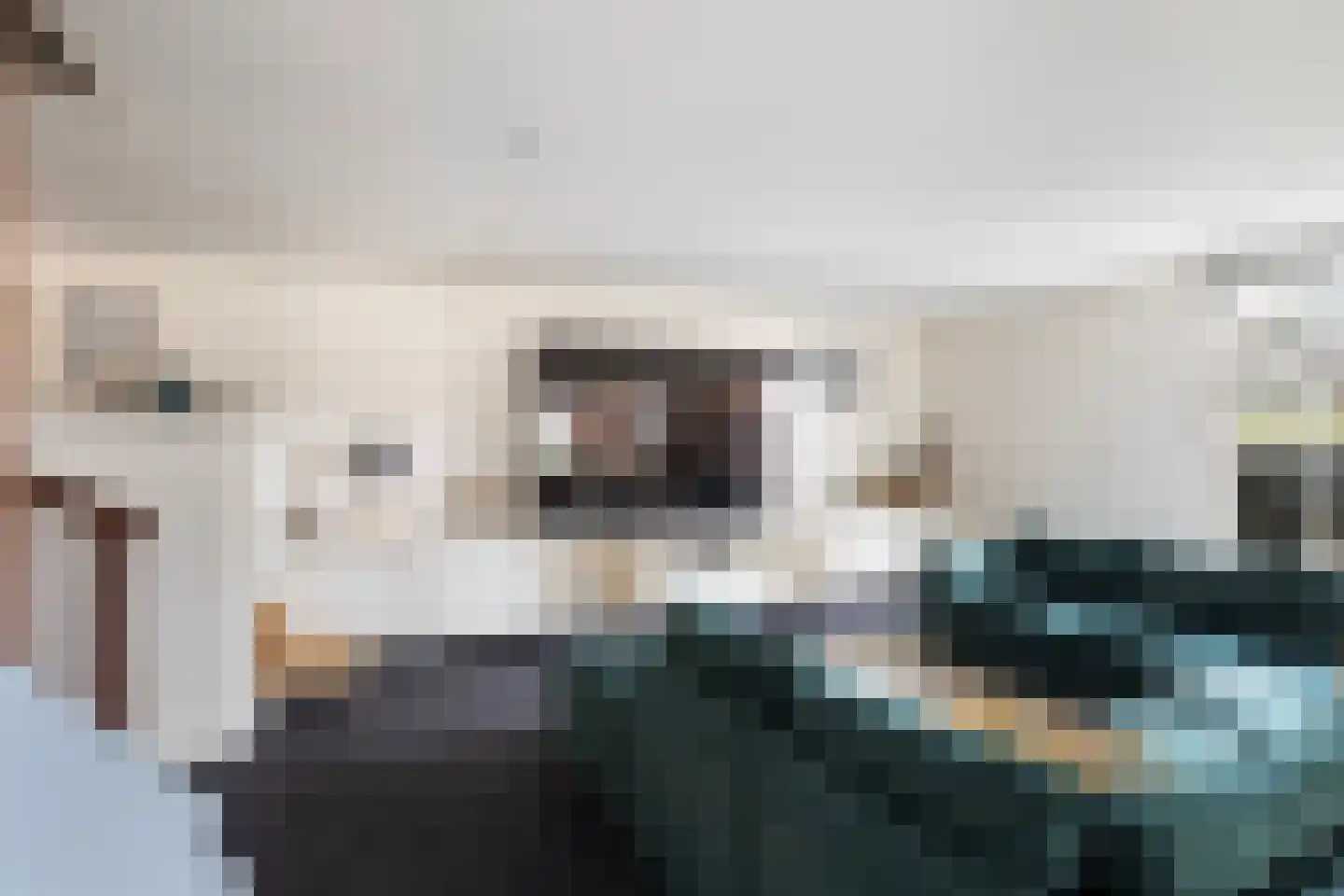 Langetaam 18 Maasland thumbnail 23