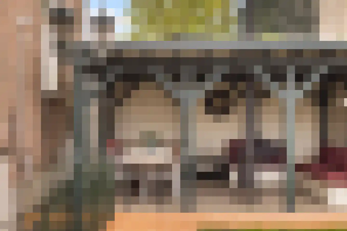 Langetaam 18 Maasland thumbnail 28