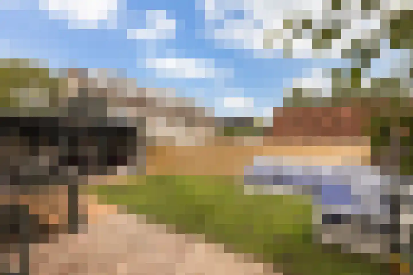 Langetaam 18 Maasland thumbnail 29