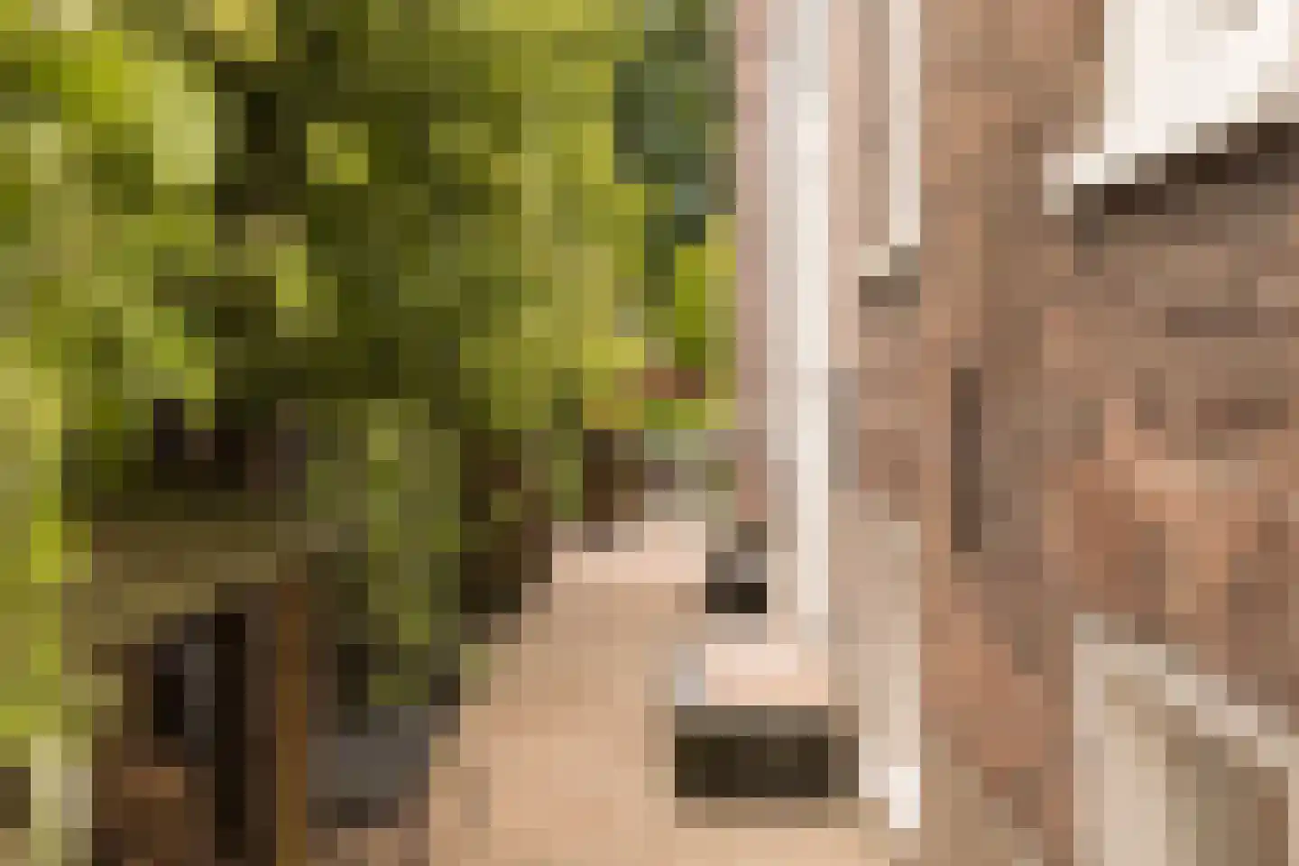 Langetaam 18 Maasland thumbnail 32