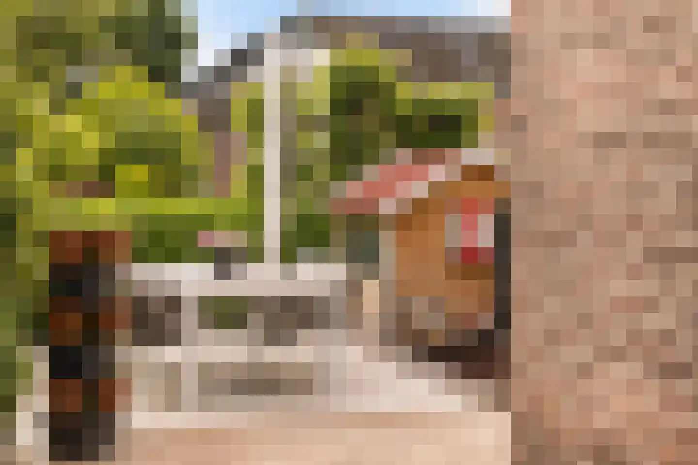 Langetaam 18 Maasland thumbnail 33