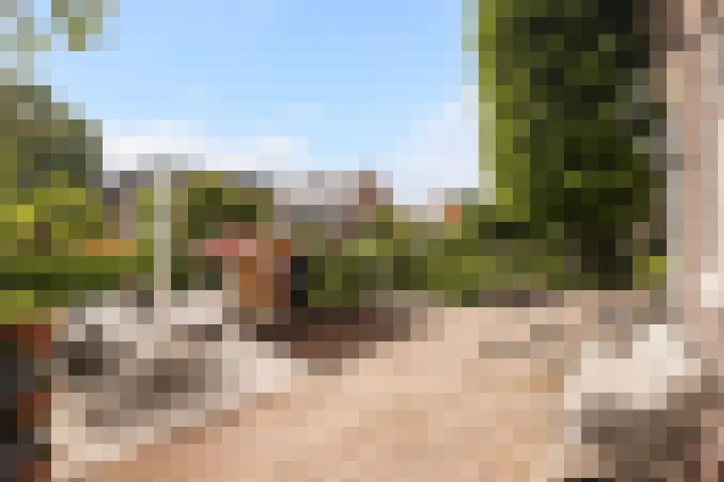 Langetaam 18 Maasland thumbnail 34