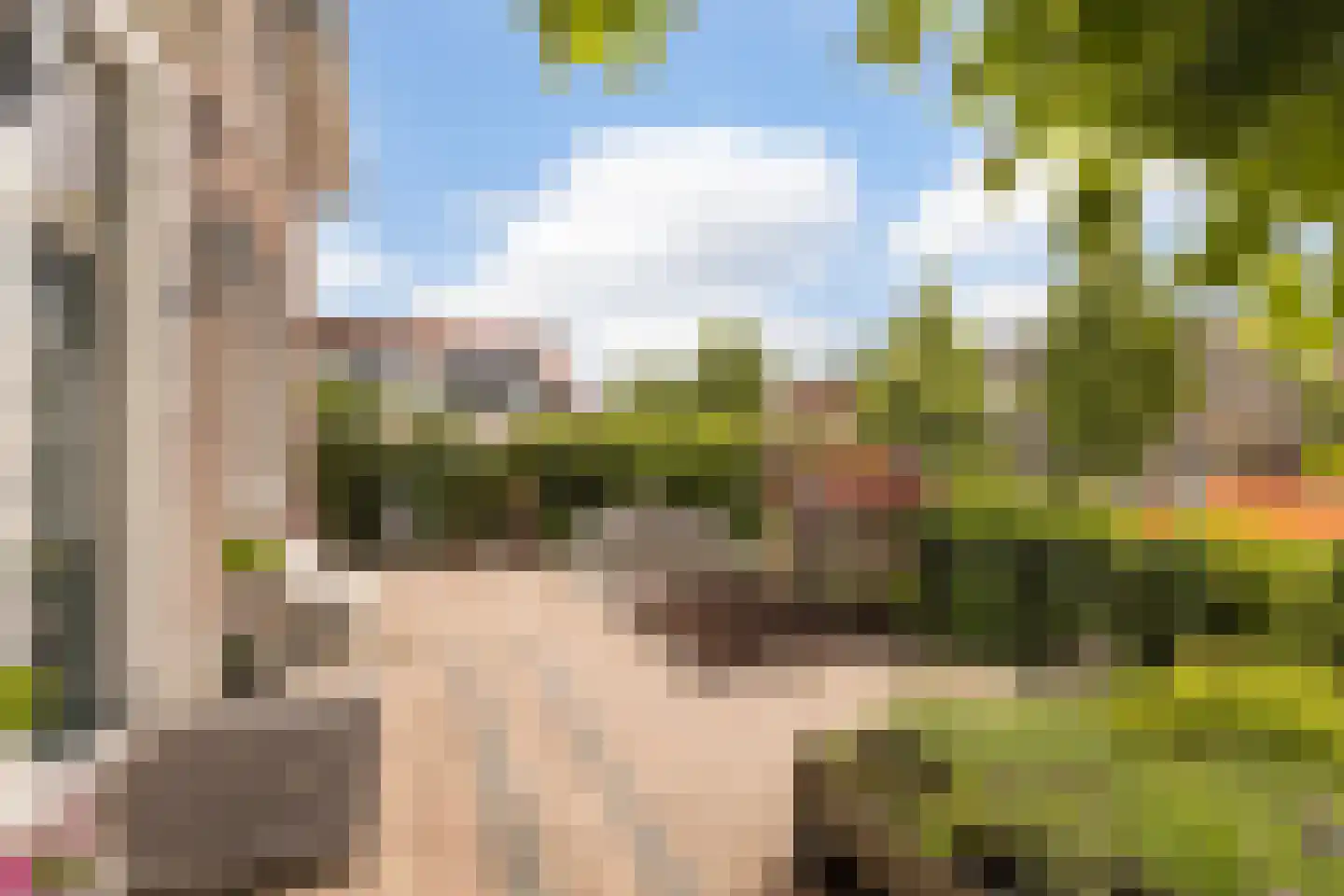 Langetaam 18 Maasland thumbnail 35