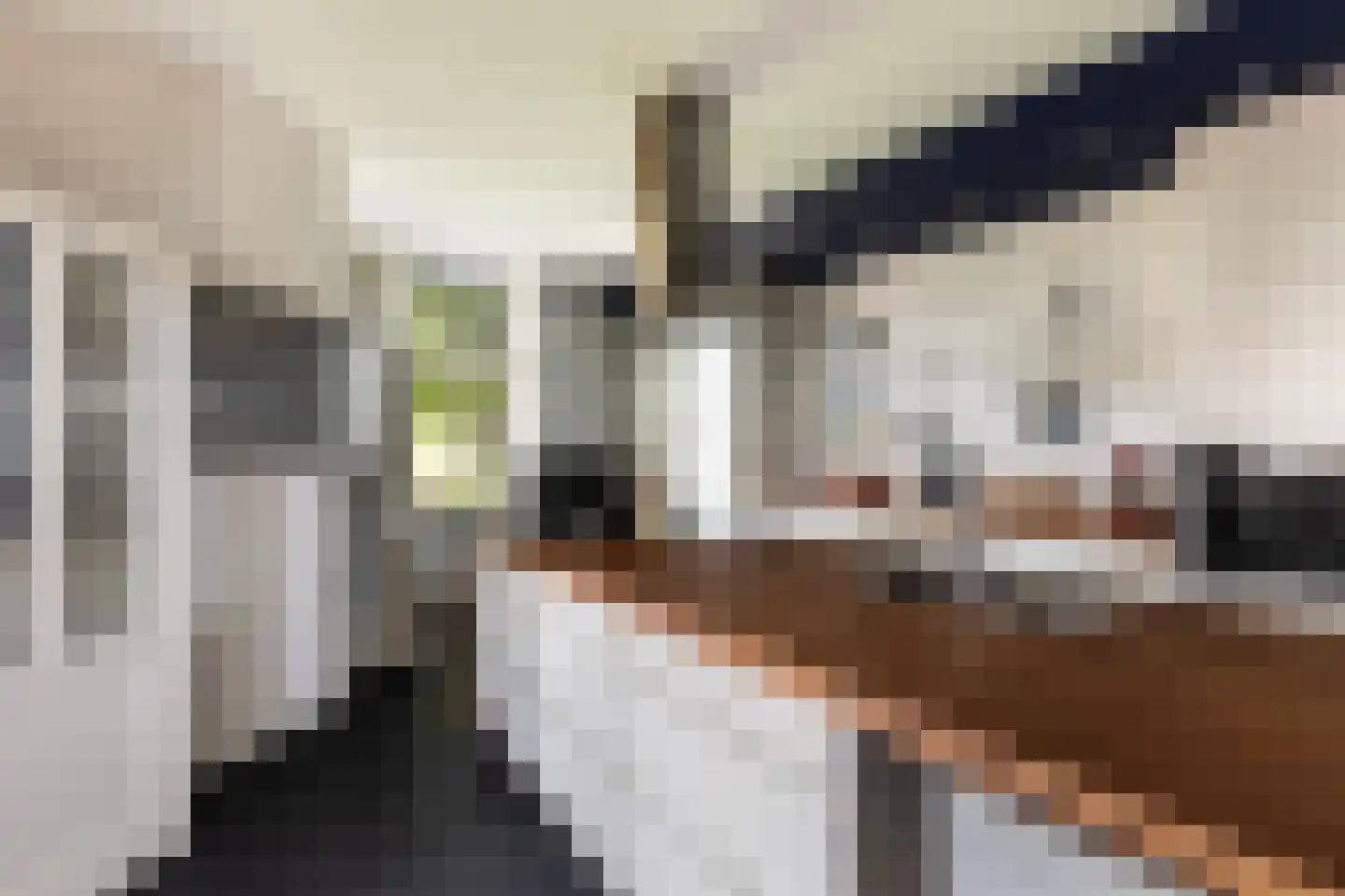 Langetaam 18 Maasland thumbnail 4