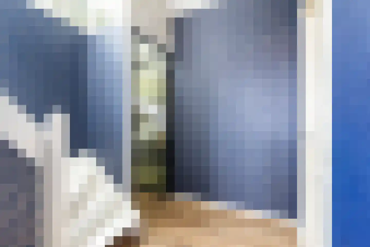 Langetaam 18 Maasland thumbnail 42