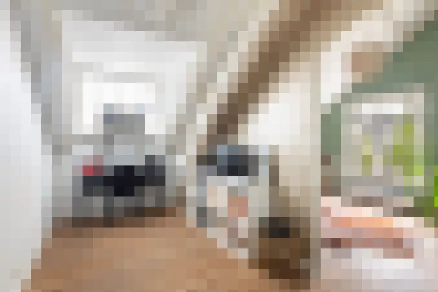 Langetaam 18 Maasland thumbnail 44