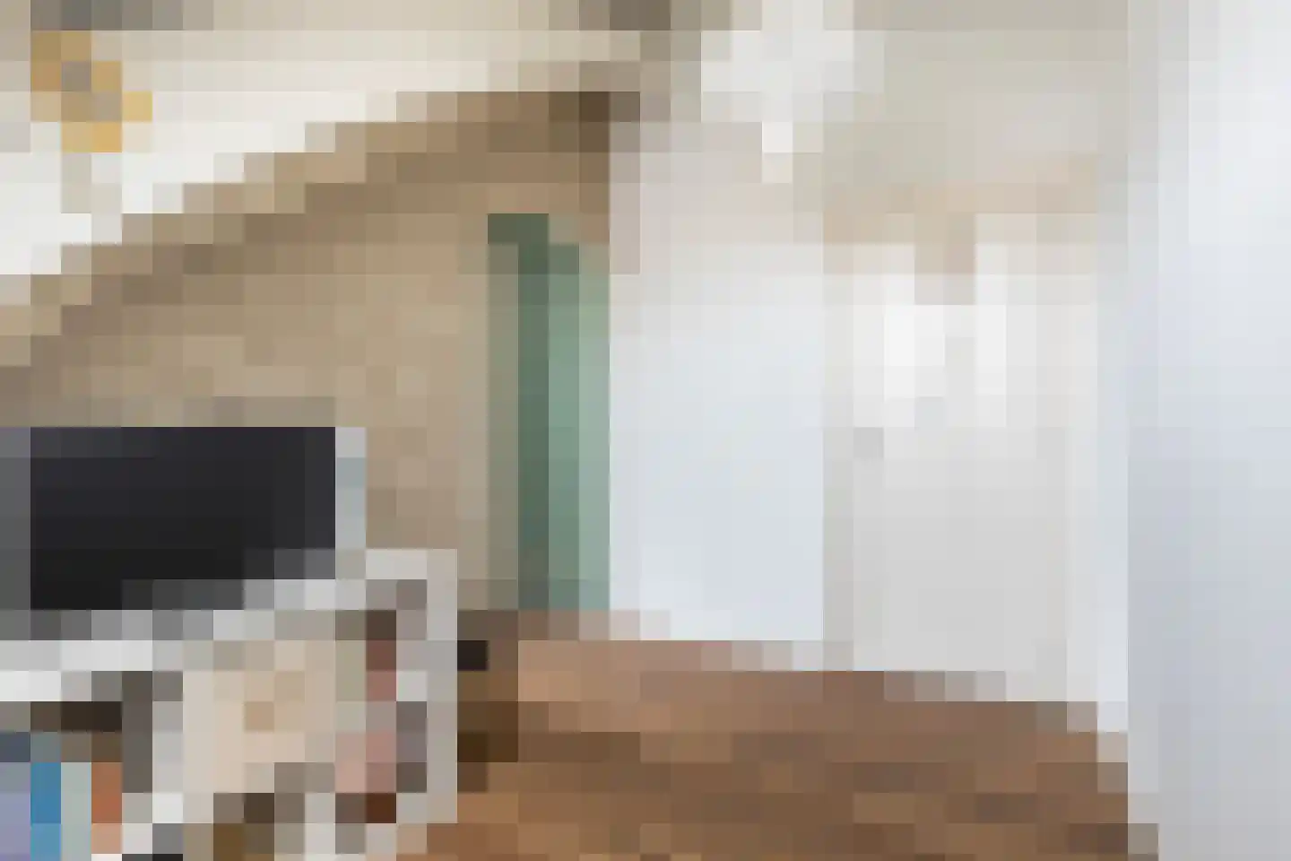 Langetaam 18 Maasland thumbnail 45