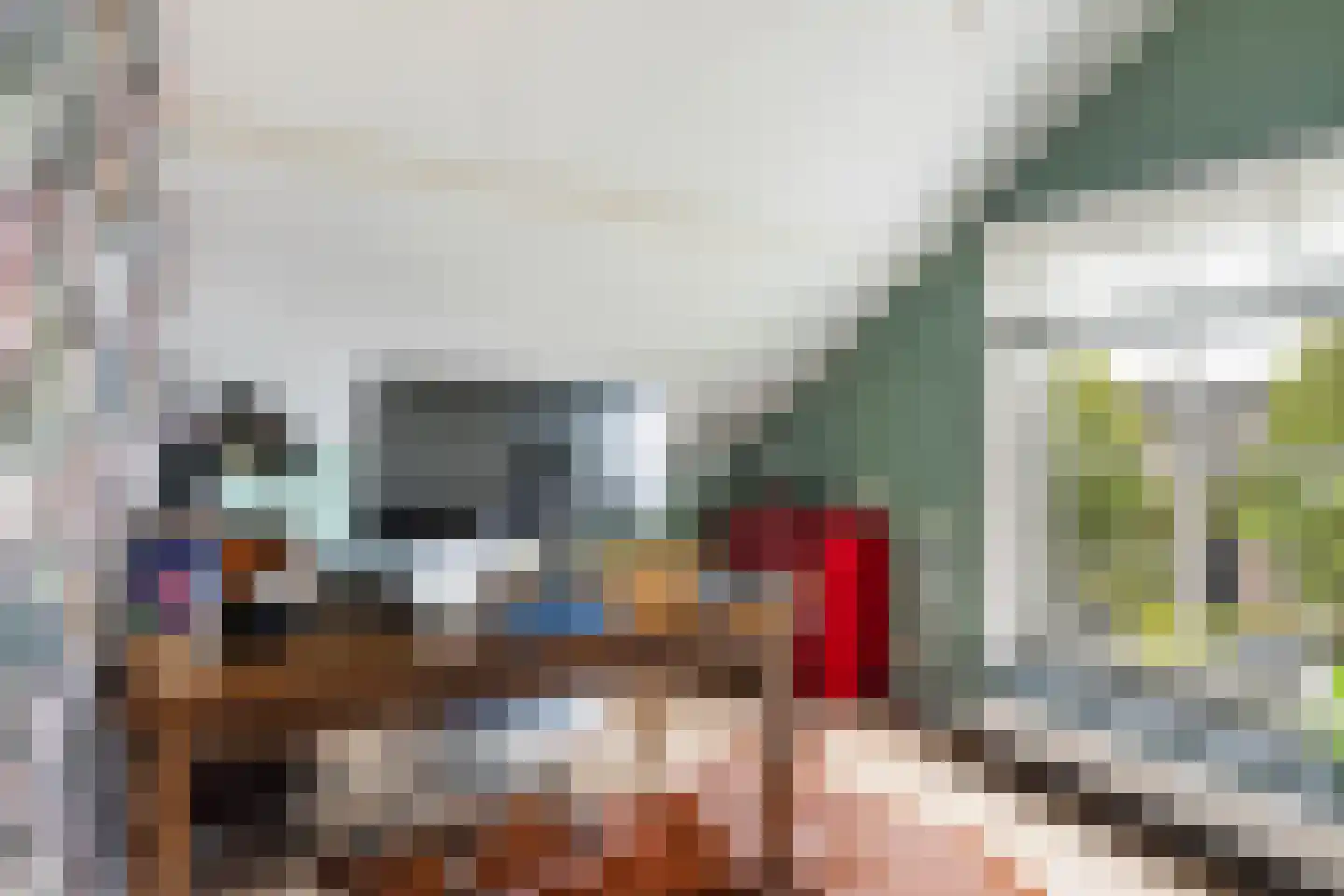 Langetaam 18 Maasland thumbnail 46