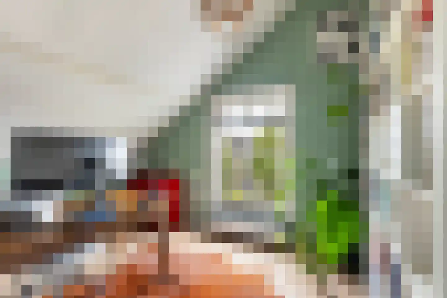 Langetaam 18 Maasland thumbnail 47