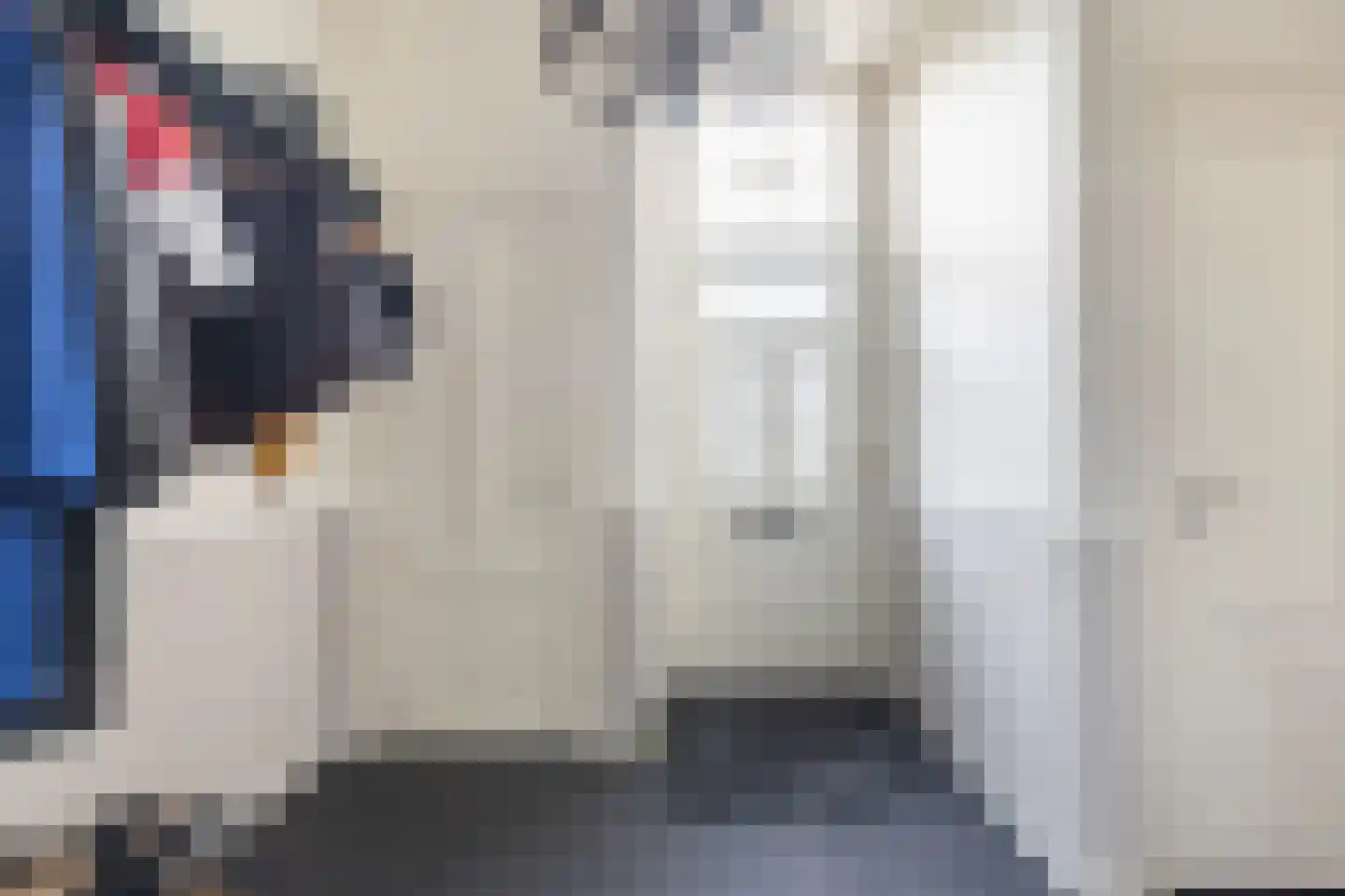 Langetaam 18 Maasland thumbnail 5