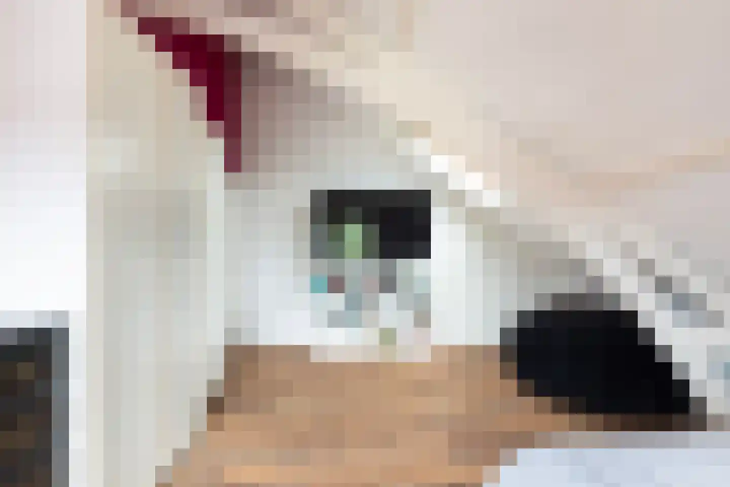 Langetaam 18 Maasland thumbnail 50