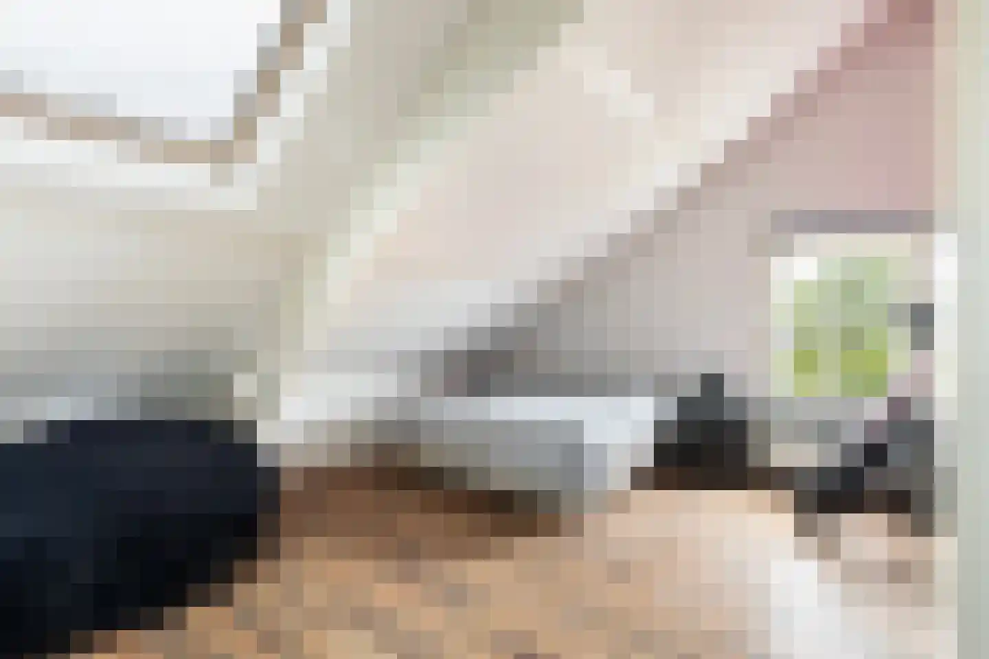 Langetaam 18 Maasland thumbnail 51