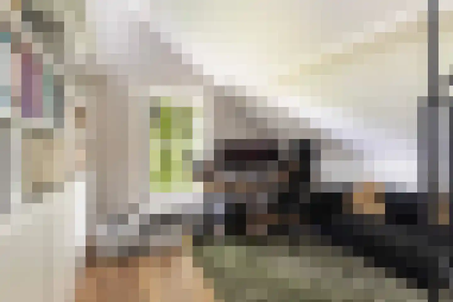 Langetaam 18 Maasland thumbnail 52