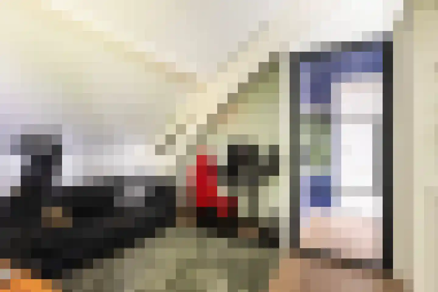 Langetaam 18 Maasland thumbnail 53