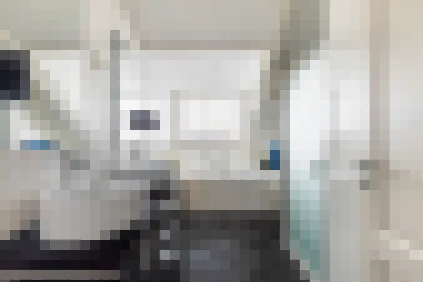 Langetaam 18 Maasland thumbnail 54