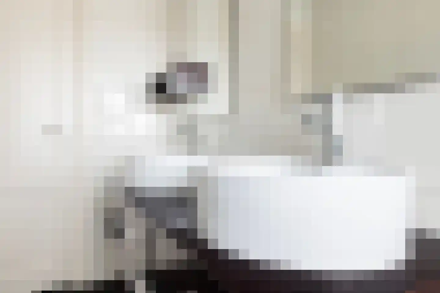 Langetaam 18 Maasland thumbnail 56