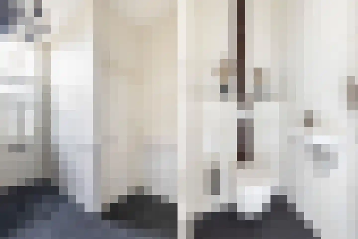 Langetaam 18 Maasland thumbnail 6