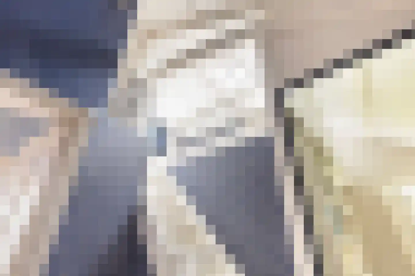 Langetaam 18 Maasland thumbnail 61