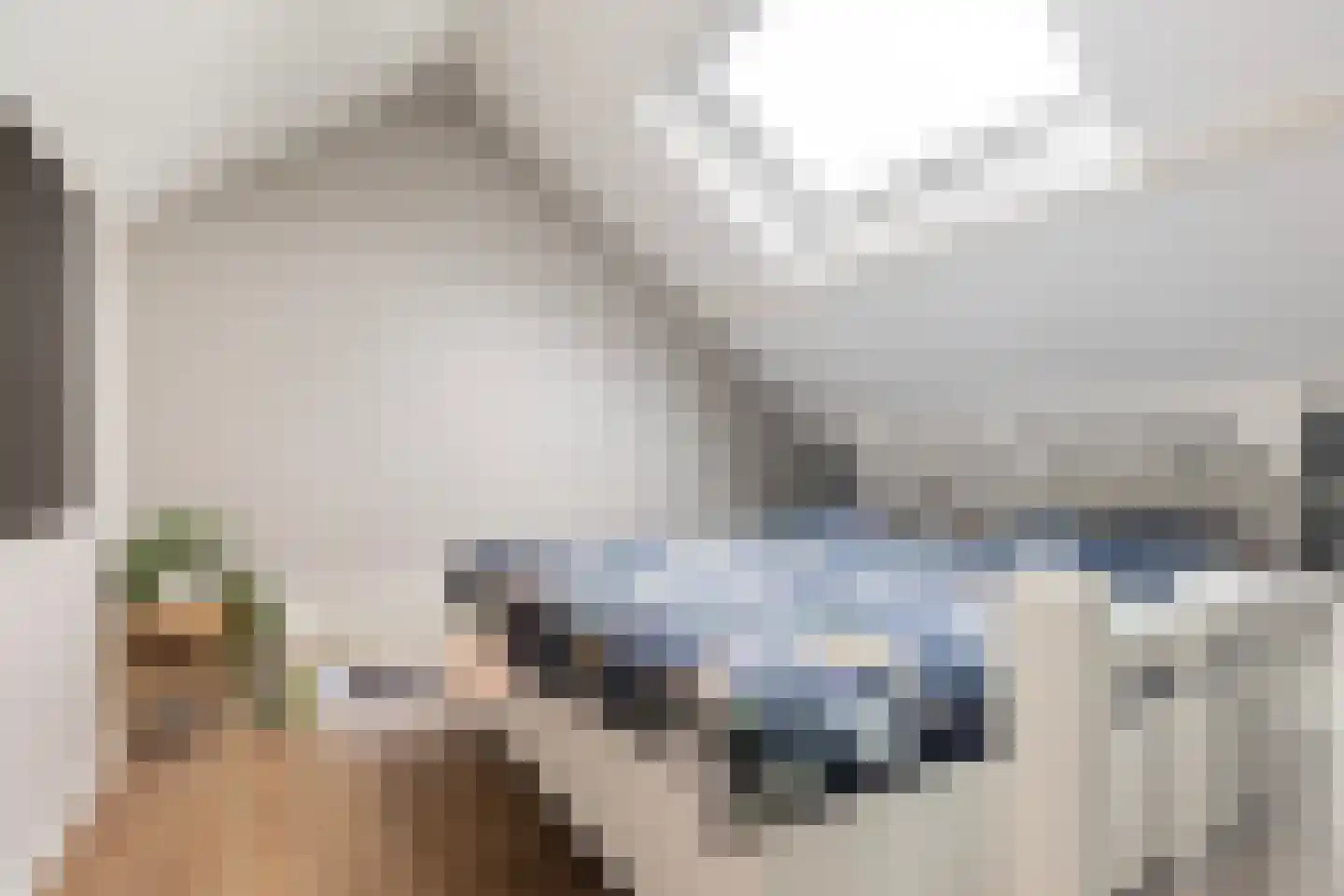Langetaam 18 Maasland thumbnail 62