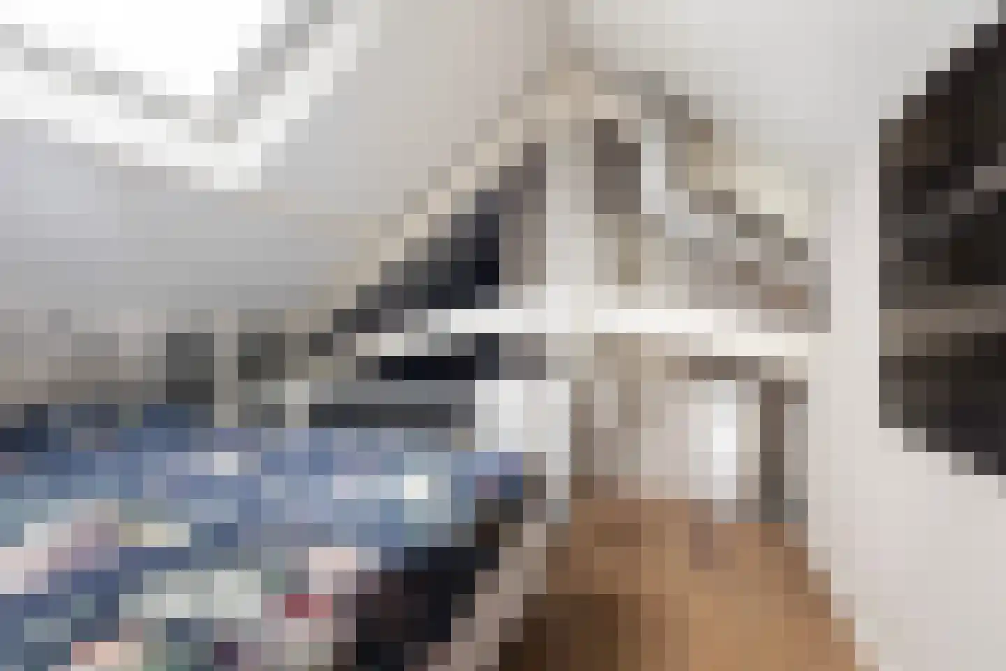 Langetaam 18 Maasland thumbnail 63